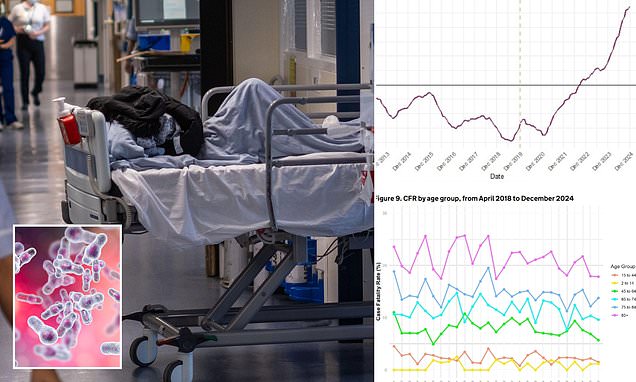 Official alert over surge in bug that kills up one in five it infects