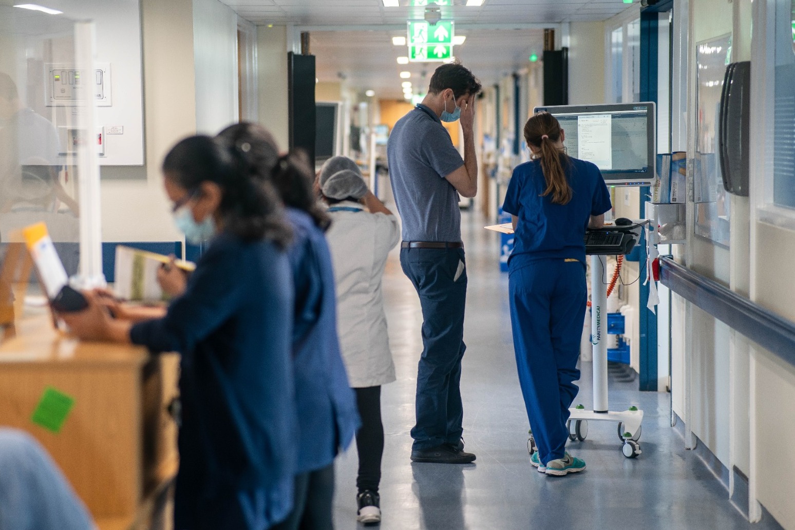 NHS hospitals plagued by rats, cockroaches and silverfish, staff say