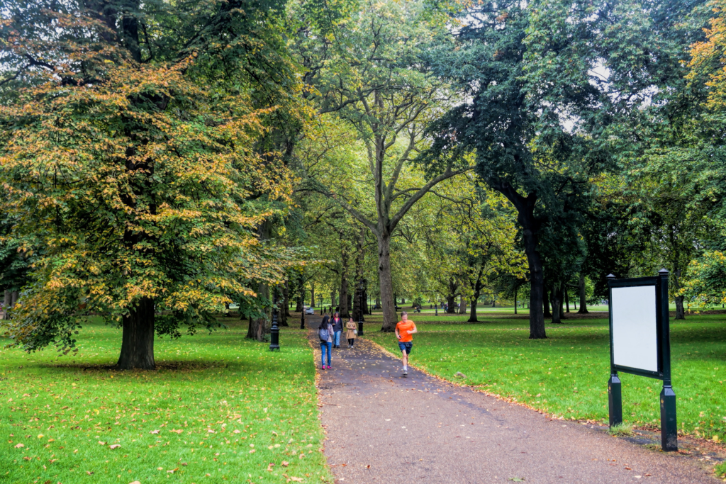 Park-joggers-1-1024x683.png