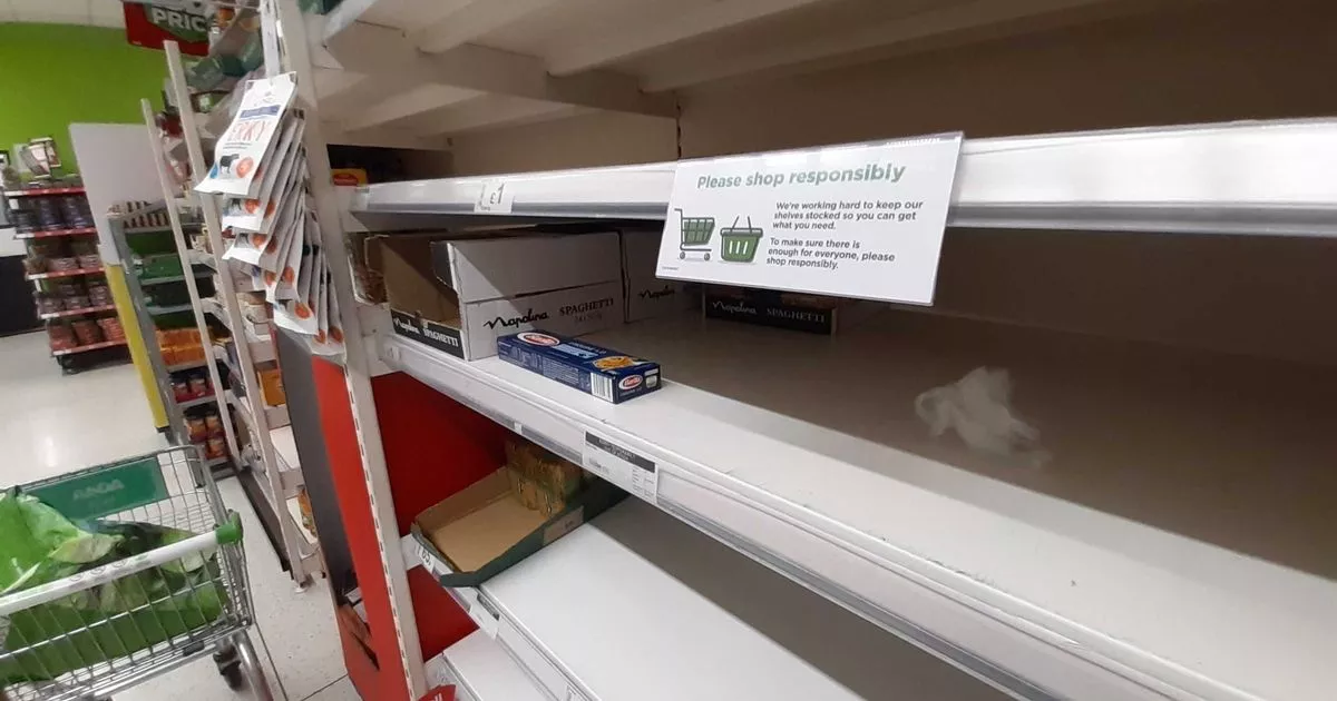 Shops turned to pandemonium in lockdown panic-buying frenzy