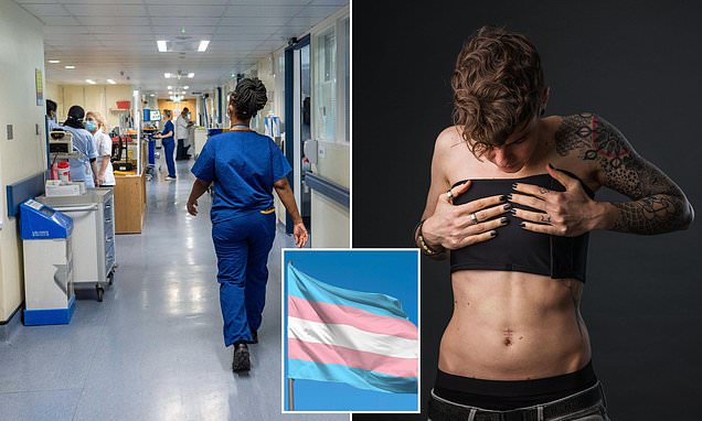 NHS trust suggested trans staff should have 'breaks to tuck' genitals