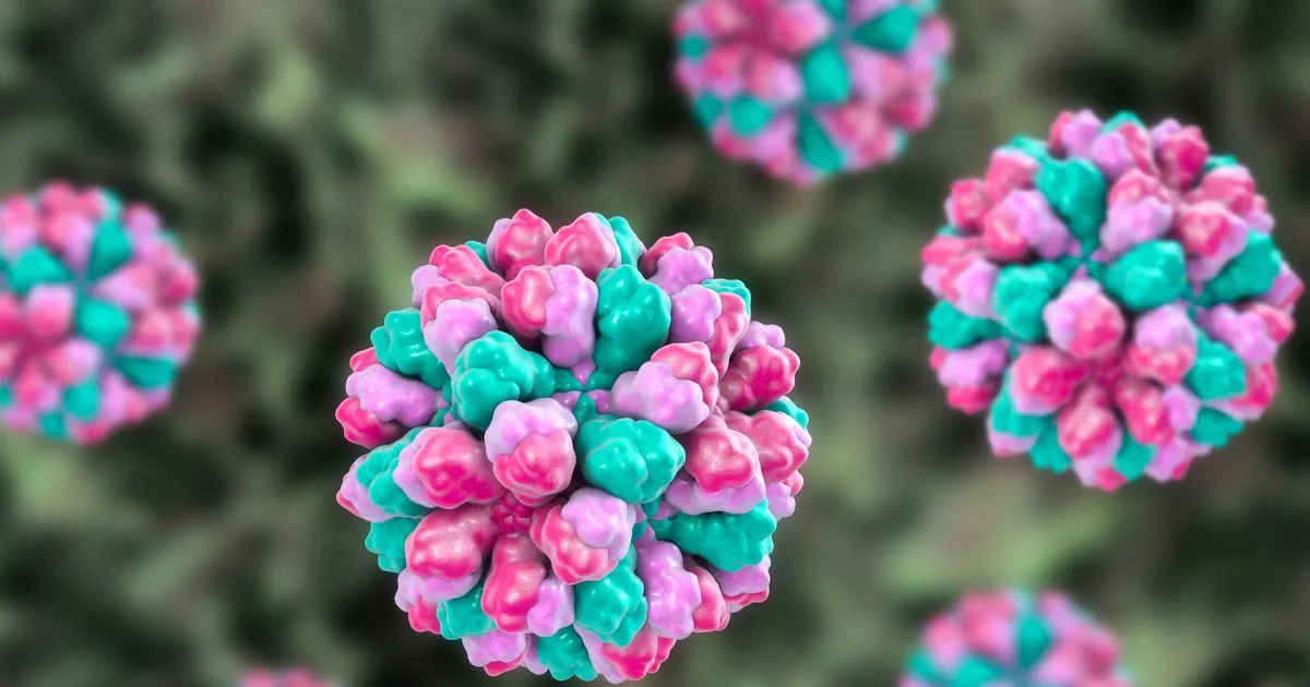 'Stay away' warning issued by top doc as NHS slammed by 'deeply unpleasant virus'